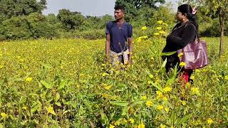 Mixed cropping farming at Jogiput watershed [upl. by Nahtaoj]