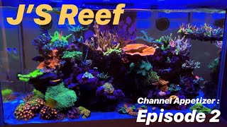 Awesome Natural Seawater SPS Reef Tank [upl. by Anneh]