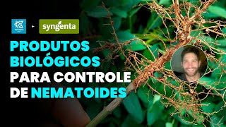 COMO CONTROLAR NEMATOIDES COM BIOINSUMOS [upl. by Ttsepmet]