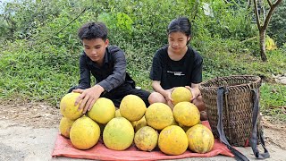 The homeless boy and the poor girl install locks on their house and pick grapefruits to sell [upl. by Luapleahcim]