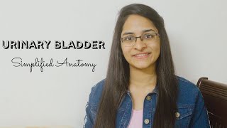 URINARY BLADDER  ANATOMY  SIMPLIFIED [upl. by Huxham124]