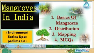 Mangroves In India  Environment  Mangrove Forest  Ncert Geography  Mangrove Ecosystem  UPSC [upl. by Pricilla]