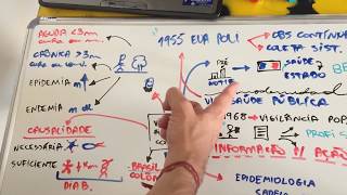 Vigilância Epidemiológica histórico e conceitos MAPA MENTAL [upl. by Bil]