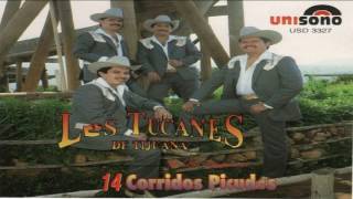 Tucanes De Tijuana Los Mejores 14 Corridos Picudos Mix [upl. by Einwat]