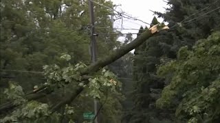 Strong storms and possible tornadoes cause damage in Chicago area overnight [upl. by Rothwell537]