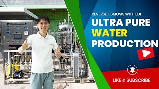 How to produce ultrapure water for pharmaceutical and cosmetic with reverse osmosis and edi system [upl. by Zarla]