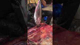 Yellowfin tuna fish skinning skills fish shorts [upl. by Alansen]