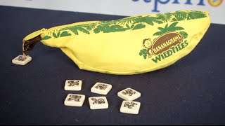 Bananagrams WildTiles from Bananagrams [upl. by Eeryt856]