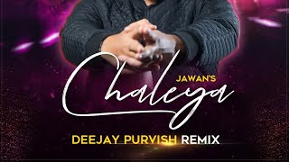 Chaleya  Remix   DJ Purvish  Jawan  Shah Rukh Khan  Nayanthara  Arijit Singh  Shilpa Rao [upl. by Velda113]