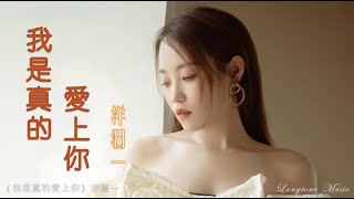 我是真的愛上你 Wo shi zhen de ai shang ni 洋瀾一 Yang Lan Yi 動態歌詞 PinyinLyrics Music [upl. by Chappie]