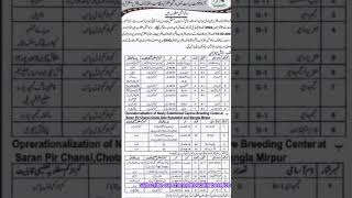 Nadra Jobs 2024  Data base jobs 2024  willed life jobs 2024  Azad kashmir jobs  New jobs 2024 [upl. by Ahtera24]