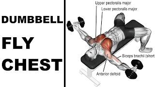 How To Dumbbell Fly Chest [upl. by Ettesel]