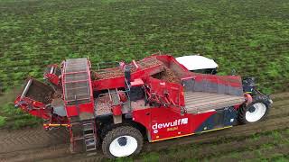 dewulf RA 3060 mit Fendt JohnDeere Gespanne in den Möhren [upl. by Garold]