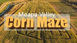 Moapa Valley Corn Maze [upl. by Tarfe]