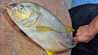 Golden Trevally Yellow Trevally Manja Parai വറ്റ മീൻ sagar fish hoodi Bangalore belathur Kadugodi [upl. by Pillihpnhoj]