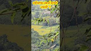 କିଏ କହିପାରିବ ଏହି ଜାଗାର ନାମ  ‼️beutifullnature beutifullplace kanjipanighati [upl. by Ailegra]