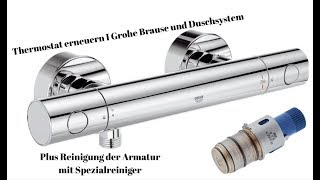 Thermostat an Grohe Duscharmatur erneuern  Jeder kann das UndSchnell und sauber Kalk entfernen [upl. by Grae766]