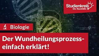 Der Wundheilungsprozess  Biologie verstehen mit dem Studienkreis [upl. by Shelby896]