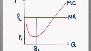 Marginal Cost and Marginal Revenue [upl. by Daly]