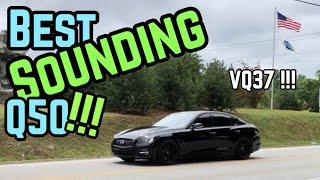 INFINITI Q50 37 VS 30T  WHY I CHOSE THE 37 [upl. by Intosh]