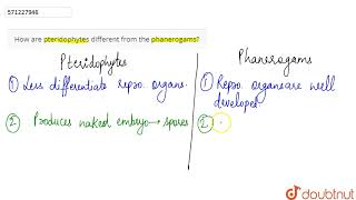 How are pteridophytes different from the phanerogams  9  DIVERSITY IN LIVING ORGANISMS  BIO [upl. by Lovich]