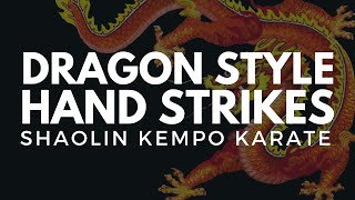 Dragon Style Hand Strikes  Shaolin Kempo Karate [upl. by Neddy940]