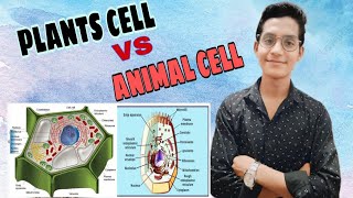 PLANT CELL AND ANIMAL CELL  में अंत with digram [upl. by Venuti]