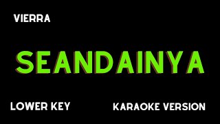 VIERRA  SEANDAINYA KARAOKE VERSION LOWER KEY [upl. by Eyoj]