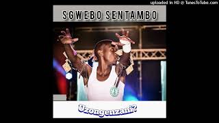 Sgwebo Sentambo  Uzongenzani Official Audio [upl. by Lonnie]