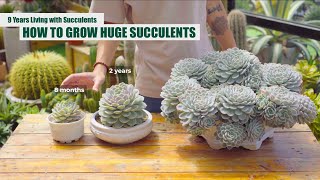 HOW TO GROW HUGE SUCCULENTS  From Beginner to Master  9 Years Living with Succulents [upl. by Enirahtac]