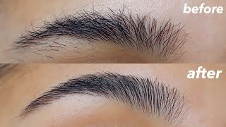 HOW TO GROOM  SHAPE YOUR EYEBROWS super easy  at home [upl. by Fredrick454]