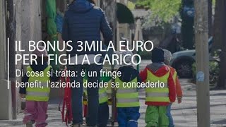 Bonus 3mila euro per i figli a carico come funziona il fringe benefit [upl. by Centeno347]