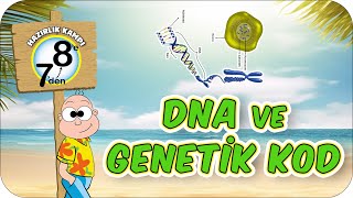 DNA ve Genetik Kod 📗 7den 8e Hazırlık Kampı 2024 [upl. by Tihom]