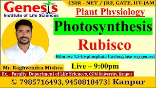 Photosynthesis  The Calvin cycle  Rubisco  Plant Physiology  CSIR NETJRF  IITJAM [upl. by Gluck582]