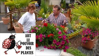 Tuto JardinageComment faire un modele de jardinières fleuries [upl. by Thissa483]