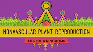 The Reproductive Lives of Nonvascular Plants Alternation of Generations  Crash Course Biology 36 [upl. by Anerroc]