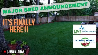 Major Seed Announcement  ITS FINALLY HERE [upl. by Niltiak]