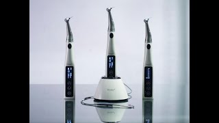 Apex Locator with Endo Motor for Root Canal Treatment Denjoy Dental Endo Devices [upl. by Pascasia]