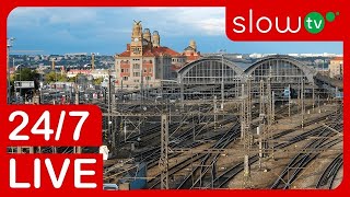 🔴 4K LIVE Trainspotting on Prague Main Station  247 LIVE [upl. by Meris441]