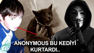 KEDİ DÜŞMANLARI ANONYMOUSA MEYDAN OKURSA [upl. by Atnahsa]