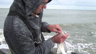 Surf Fishing for Redfish in Delaware [upl. by Chabot]