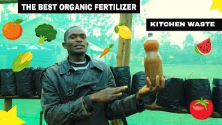 HOW TO MAKE ORGANIC LIQUID FERTILIZER FROM KITCHEN WASTE [upl. by Anahsak]