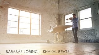 Barabás Lőrinc  Shakal Beats Official Video [upl. by Philps]