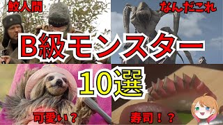 【映画紹介】B級映画のモンスター10選【ゆっくり解説】【ホラー映画】 [upl. by Aracot]