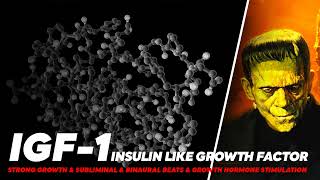 INSULINLIKE GROWTH FACTORIGF1 🔴 GROWTH HORMONE STIMULATION 🔴 BINAURAL BEATSampSUBLIMINAL [upl. by Dis280]