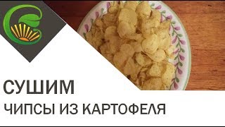 Картофельные чипсы с грибами на сушилке Изидри [upl. by Elenaj]