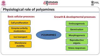 Polyamines [upl. by Buonomo]