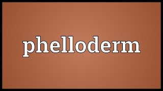 Phelloderm Meaning [upl. by Terri]