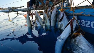 Nakarami rin sa kitang or long line fishing CATCH SELL and COOK [upl. by Ivo]