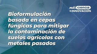 Bioformulación basada en cepas fúngicas para mitigar la contaminación de suelos agrícolas [upl. by Gerg]